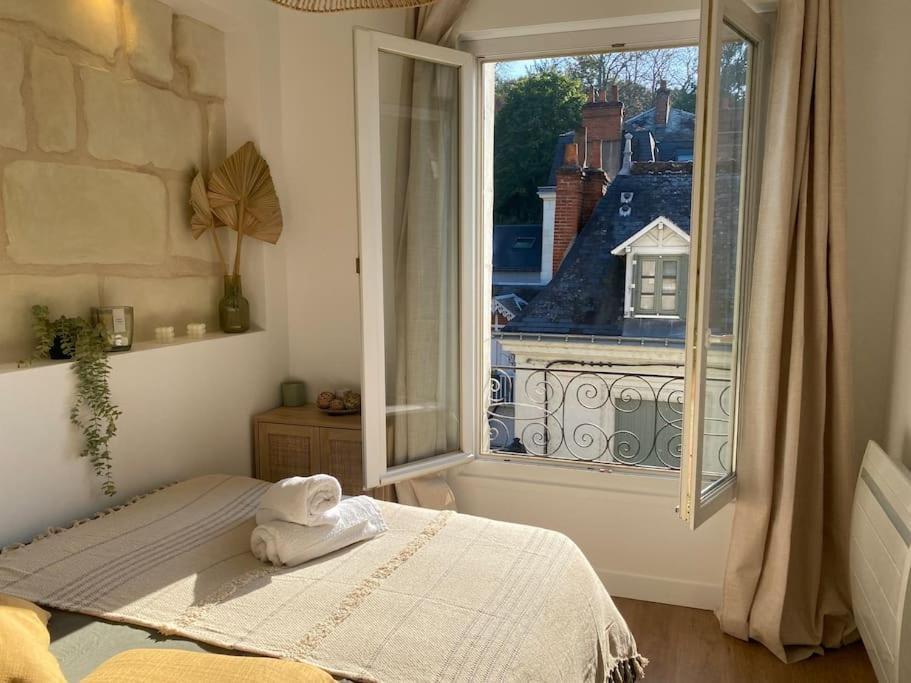 Duplex Cinema - Centre Historique Tours Apartment Luaran gambar